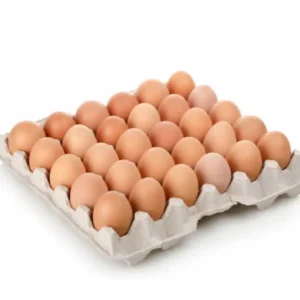Carton de Huevos